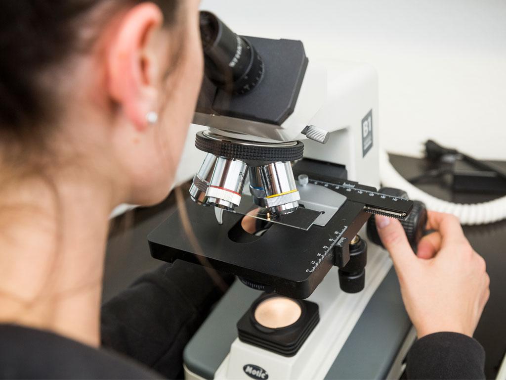 Claudia Senn untersucht das Blut nach Parasiten mit dem Mikroskop