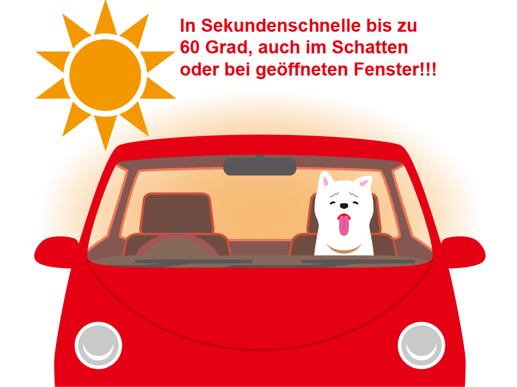 Ein Hund wartet im geparkten Auto in der Hitze, hechelt im Innern eines Auto