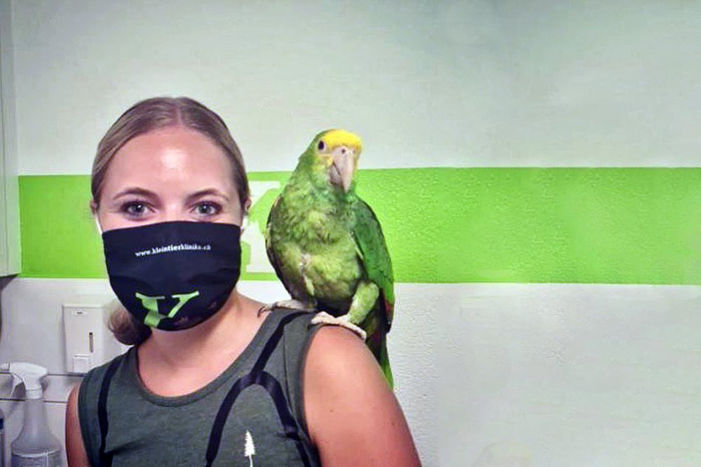 Tierarzt Studentin mit Papagei auf Schulter