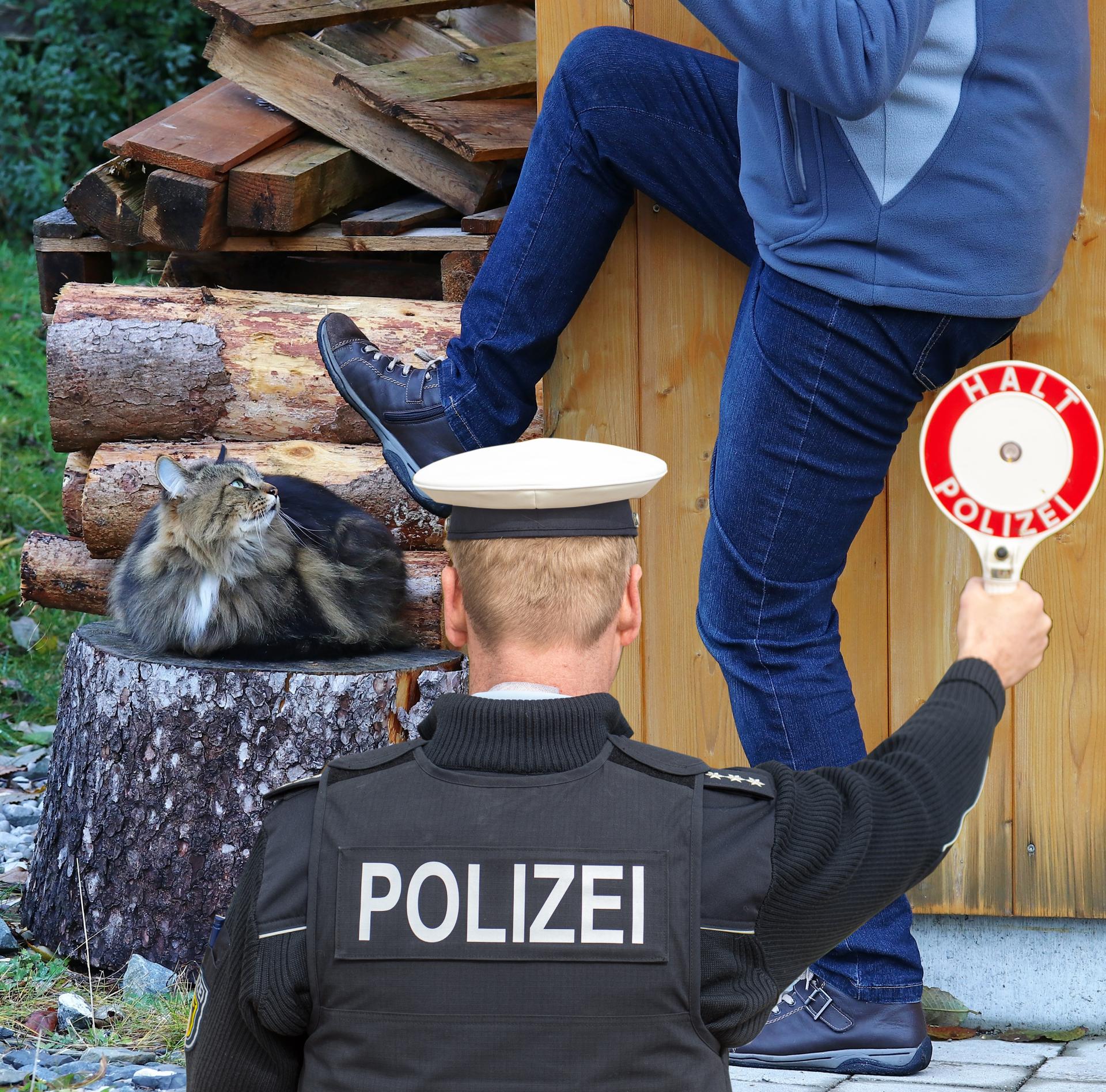 Katze auf Holzstrunk ein Mann setzt zum Fusstritt an, Polizist hält die Halt Polizei Tafel zur Warnung in die Luft.