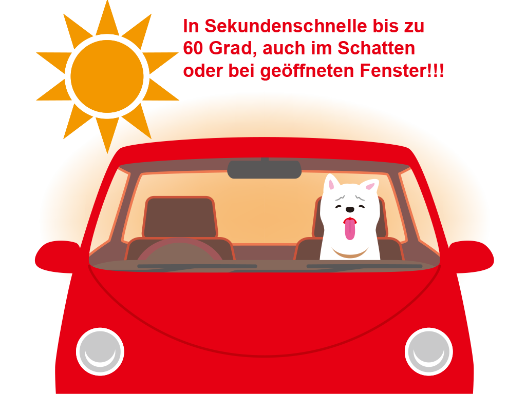 Überhitzter Hund in Auto an der Sonne