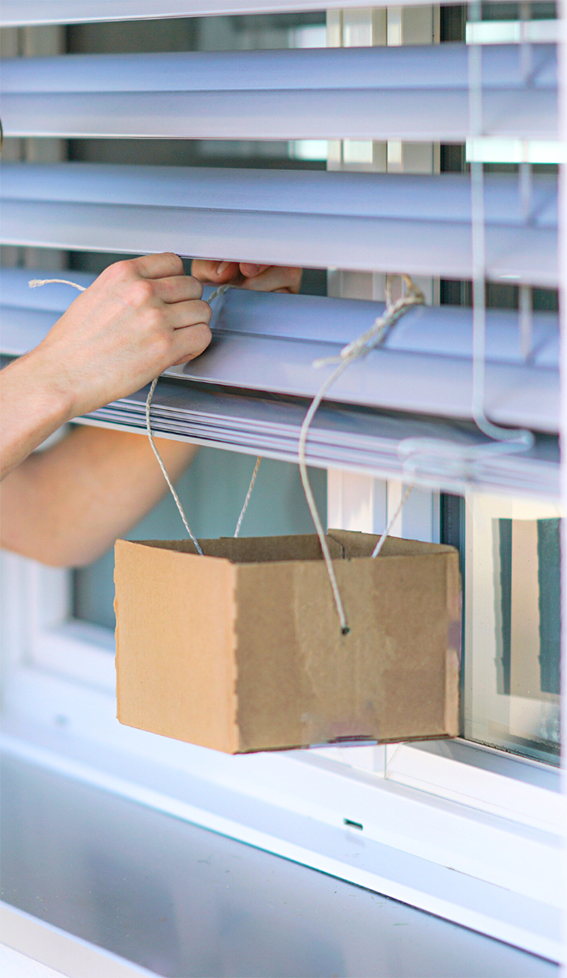 Box wird an Fenster Rollo montiert